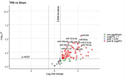 Circulating miRNAs Associated With ER Stress and Organ Damage in a Preclinical Model of Trauma Hemorrhagic Shock